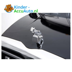 Mack Granite Zwart Kinder Vrachtwagen 5